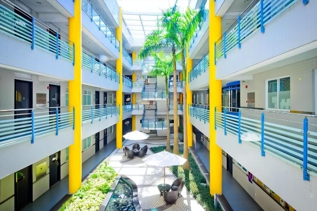 澳門精準資料，探索與解析，澳門精準資料，深度探索與解析