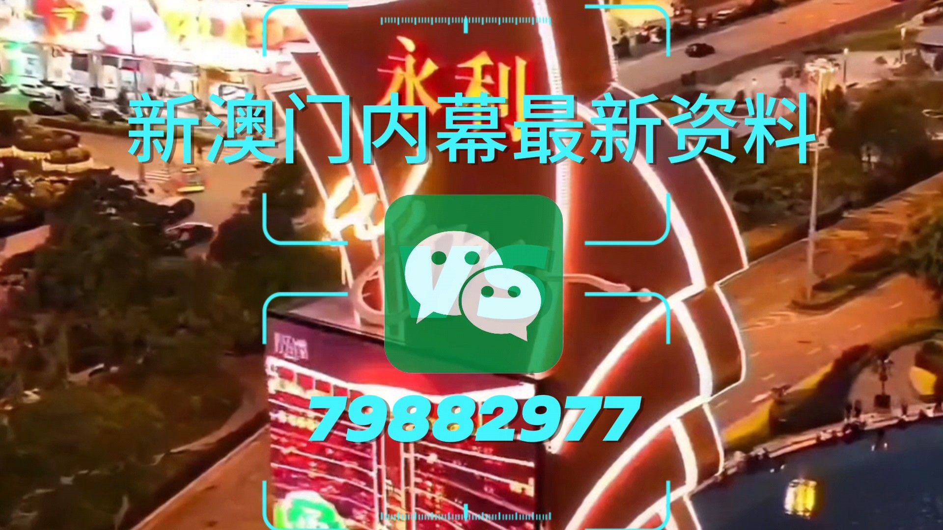 新澳門一肖一特一中，探索與解析，新澳門一肖一特一中，深度探索與解析