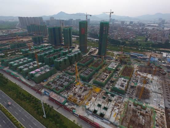 香港最準(zhǔn)一肖中特，揭秘13769cm王中王的精準(zhǔn)資料，揭秘香港最準(zhǔn)一肖中特，精準(zhǔn)資料揭秘13769cm王中王預(yù)測(cè)之道