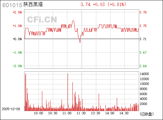 陜西黑貓（601015）股票，投資潛力與前景展望，陜西黑貓（601015）股票投資潛力與前景展望分析