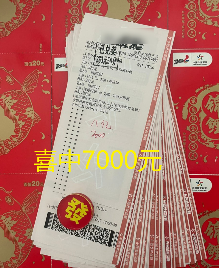 澳彩公證處一碼三中三，專業(yè)、公正、高效的彩票服務(wù)體驗(yàn)，澳彩公證處，專業(yè)、公正、高效的一站式彩票服務(wù)體驗(yàn)